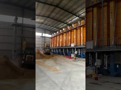 300 tons paddy dryer plant presun rice paddy dryer machine