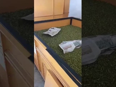 Ventilation Horizontal Bed Dryer Cereal Nuts Beans Dryer Machine 4 Tons