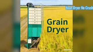 beans dryer machine,pulses dryer machine