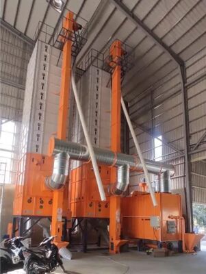 Good price 15 Tons Full Automation Continous Steamed Raw Paddy Dryer online