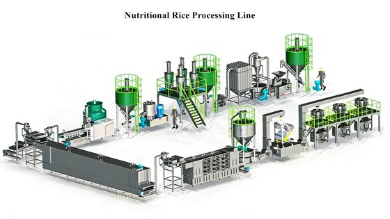 Good price Food Grade Stainless Steel Artificial Rice Processing Line with 200 kg/hr Capacity and Automated Temperature Control online